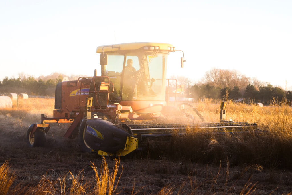 Land Reform in South Africa: 5 Myths About Farming Debunked