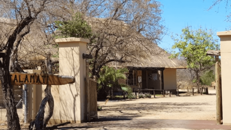 An Overview of Talamati Bushveld Camp in the Kruger National Park