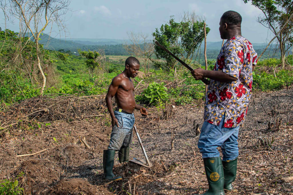 Bridging the Gap: Equal Opportunities for South African Farmers